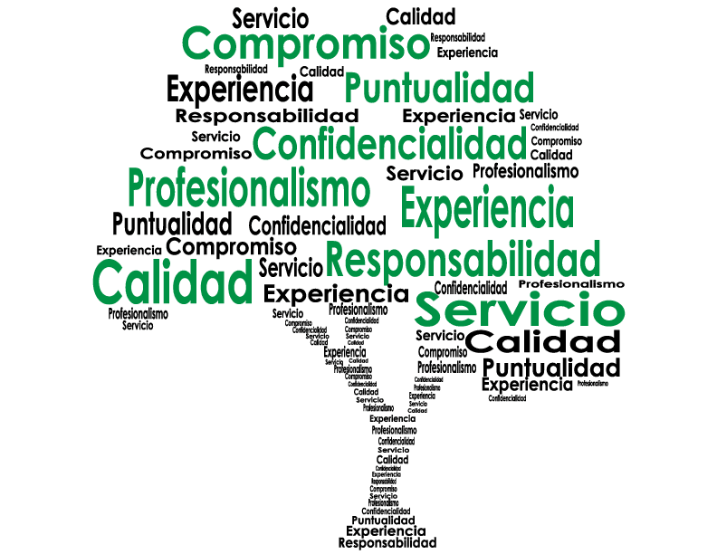 Nuestros valores: compromiso, calidad, servicio, experiencia, puntualidad, responsabilidad